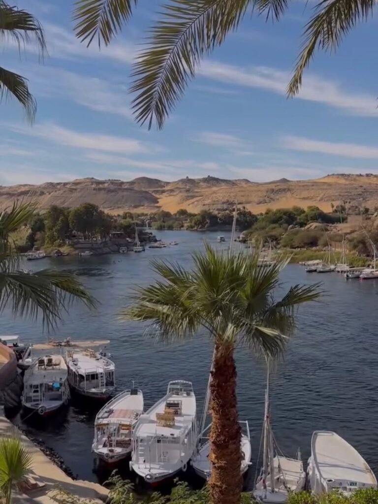 Boats moored on the Nile among palm trees in Aswan