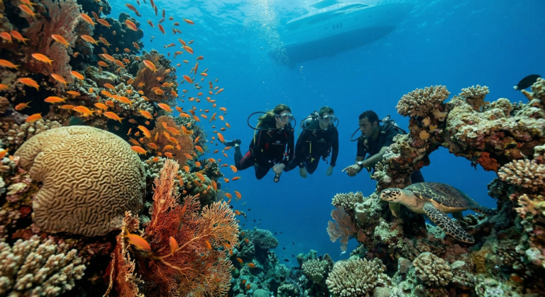 Scuba divers over a coral reef in the Red Sea