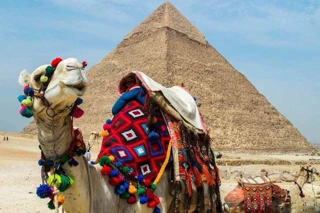 Day Trip from Hurghada to Cairo by Bus