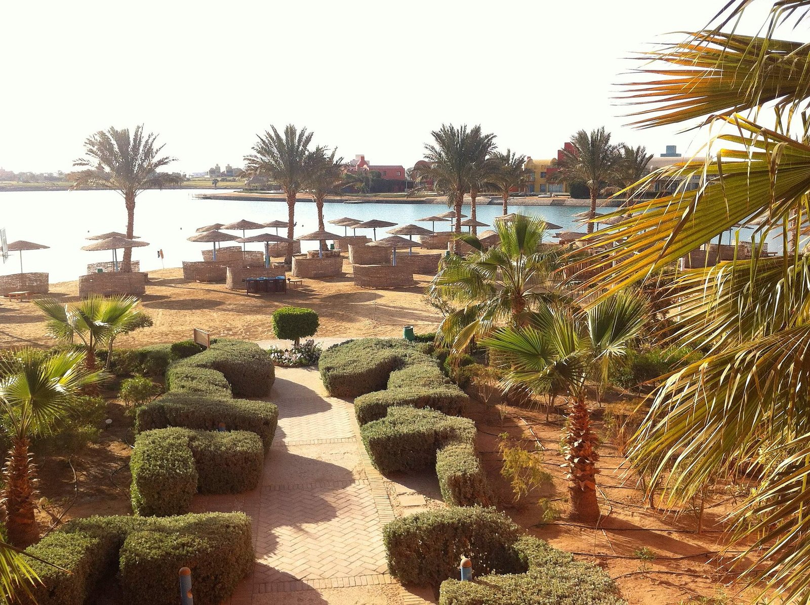 15 Days Hurghada & Nile Cruise: Red Sea Relaxation and Nile Discovery, photo 3 of 9